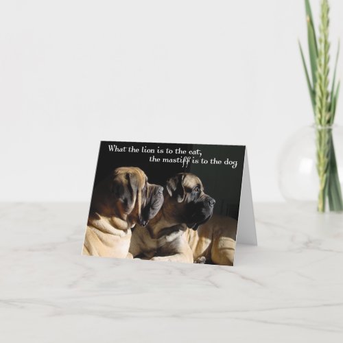 Mastiff pair Card