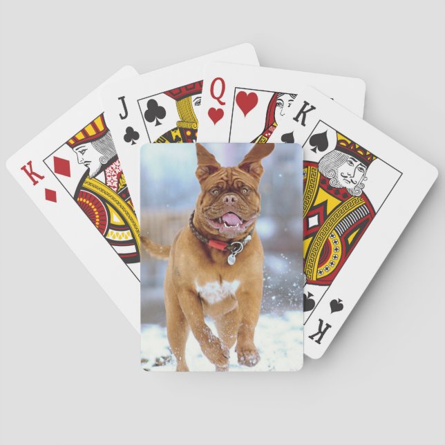 Mastiff Plus Poker Cards (Back)