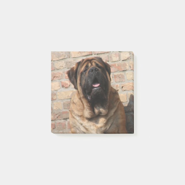 Mastiff Post-it Notes (Front)