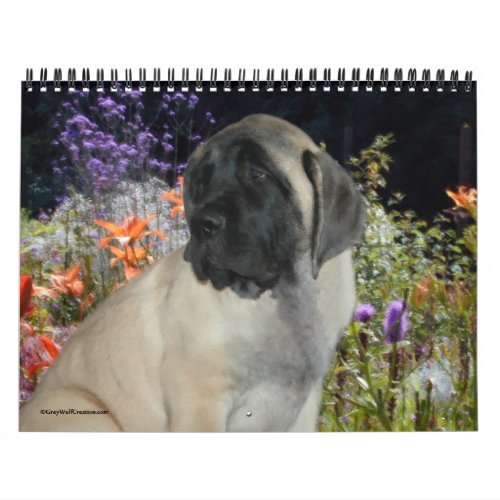Mastiff Puppies Calendar