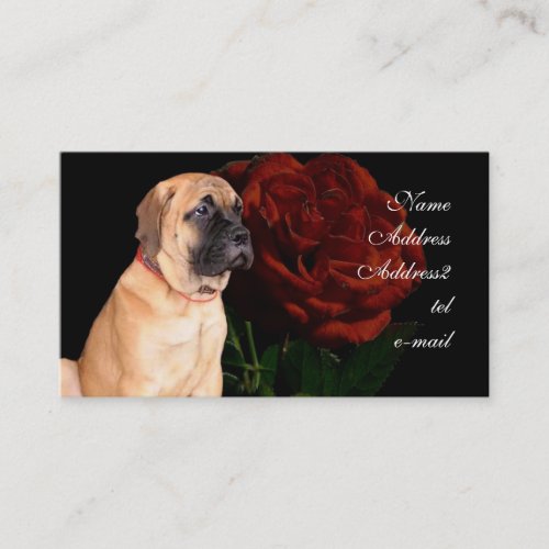 Mastiff puppy business card