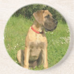Mastiff Puppy Dog Coasters<br><div class="desc">Mastiff Puppy Dog Coasters.</div>