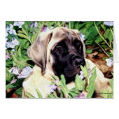 Mastiff puppy in bluebells (Front Horizontal)