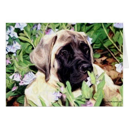 Mastiff puppy in bluebells cards (Front Horizontal)