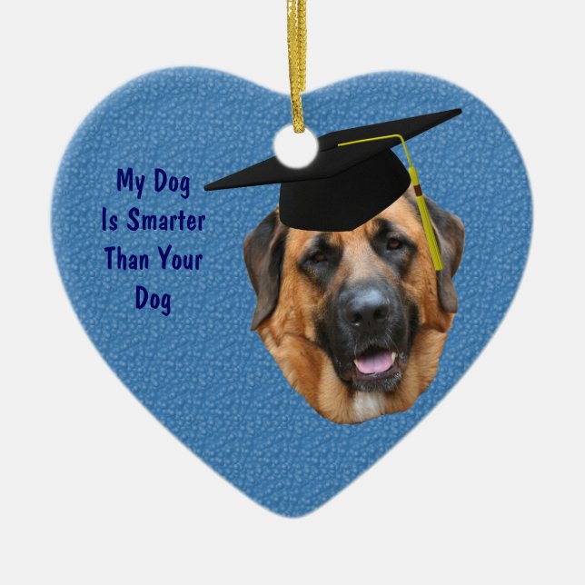 Mastiff Smarter Funny Dog Ornament (Front)