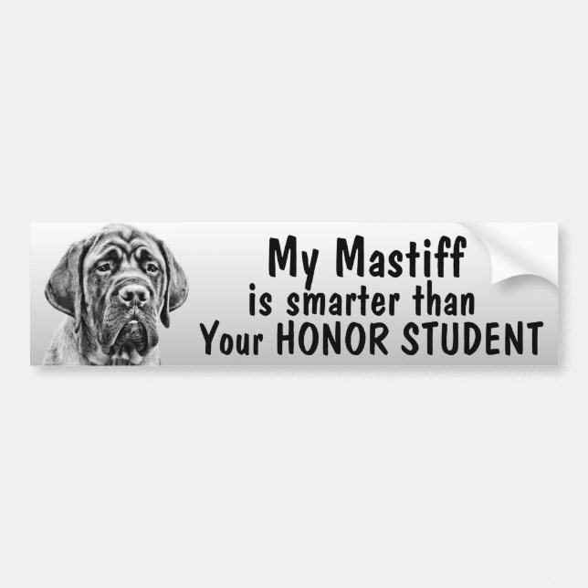 Mastiff smarter than your honor student - funny bumper sticker (Front)