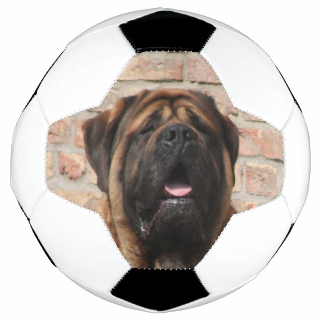 Mastiff Soccer Ball (Front)