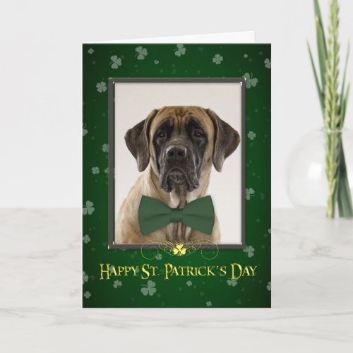 Mastiff St Patricks Day Card