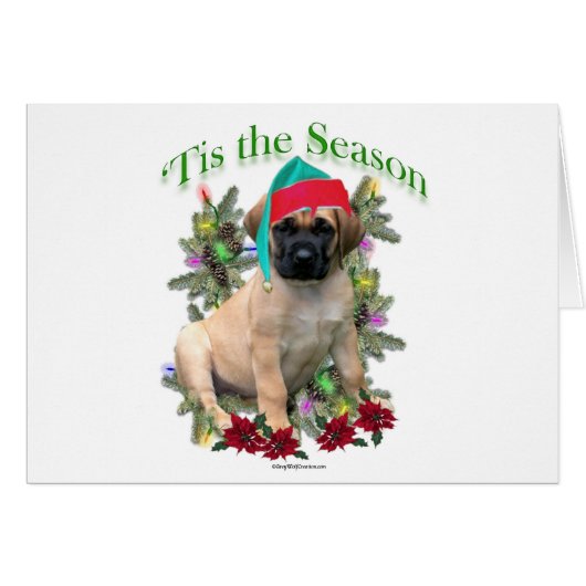 Mastiff ‘Tis Cards (Front Horizontal)