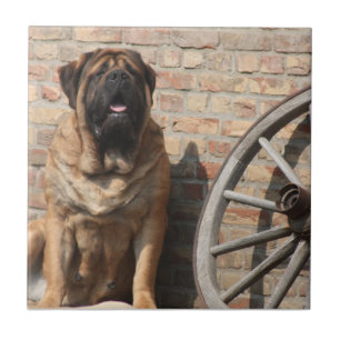 Mastiff Vacation English Mastiff Ceramic Tile