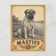 Mastiff, Vintage Heritage Dog