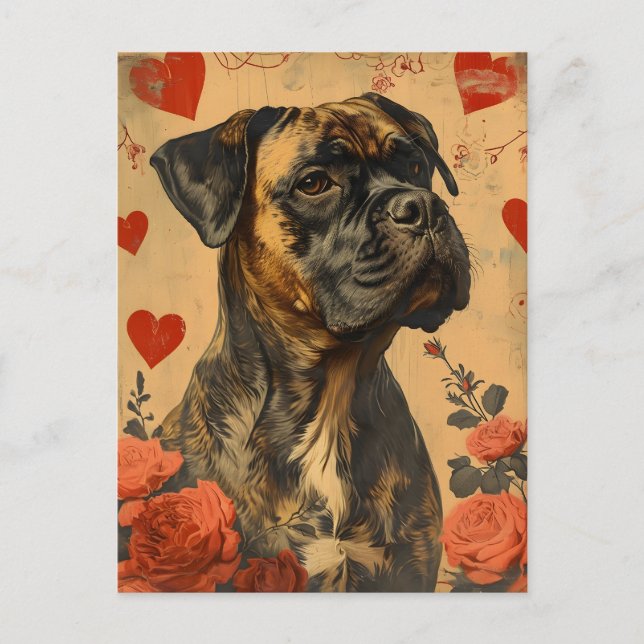 Mastiff Vintage Valentine's Day  Postcard (Front)