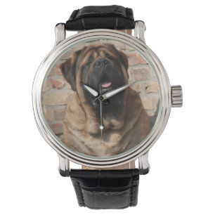 Mastiff Watch