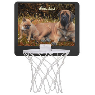 Mastiff with French Bulldog Mini Basketball Hoop