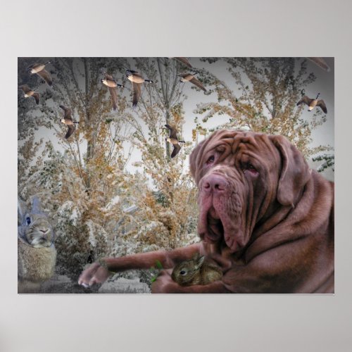 Mastiff with small Rabbit Poster