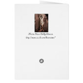 Mata Hari Belly Dancer Costume Cards (Back)