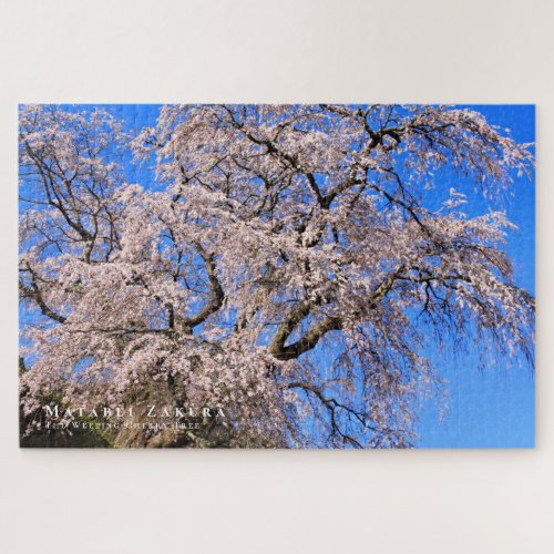 Matabei_Zakura Weeping Cherry Tree Jigsaw Puzzle