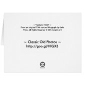 Matador 1860 (Back Horizontal)