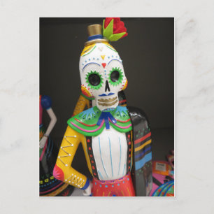 Matador Skeleton Postcard
