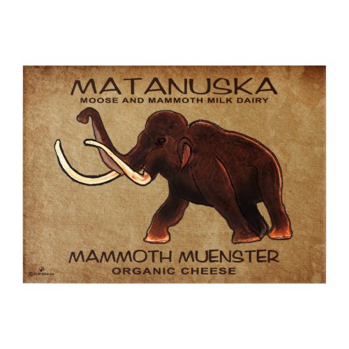Matanuska Mammoth Muenster Cheese Acrylic Print