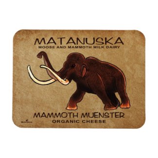 Matanuska Mammoth Muenster Cheese