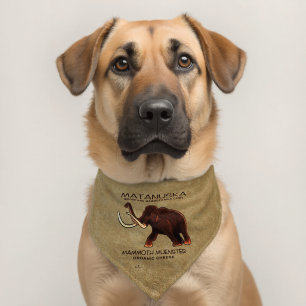 Matanuska Mammoth Muenster Cheese Pet Bandana Collar