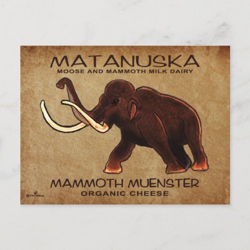 Matanuska Mammoth Muenster Cheese Postcard