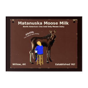 Matanuska Moose Milk Acrylic Print