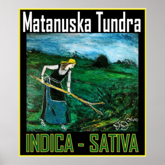 MATANUSKA TUNDRA INDICA SATIVA POSTER