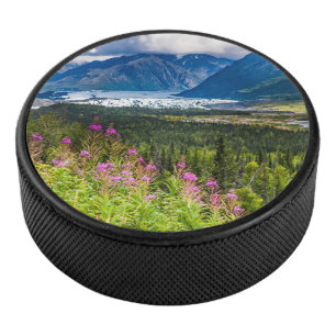 Matanuska Valley, Southcentral Alaska Hockey Puck