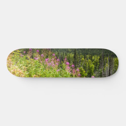 Matanuska Valley Southcentral Alaska Skateboard