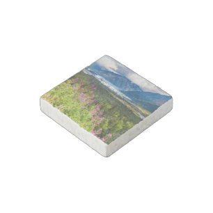 Matanuska Valley, Southcentral Alaska Stone Magnet