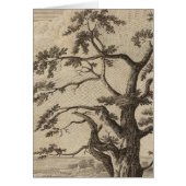 Matavia Bay, Otaheite, Tahiti (Front)