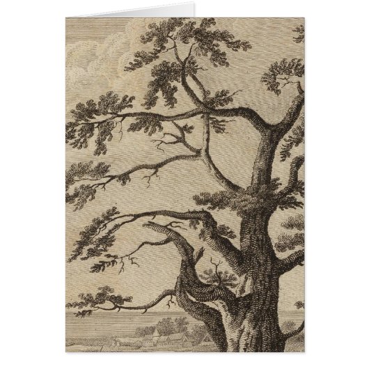 Matavia Bay, Otaheite, Tahiti (Front)