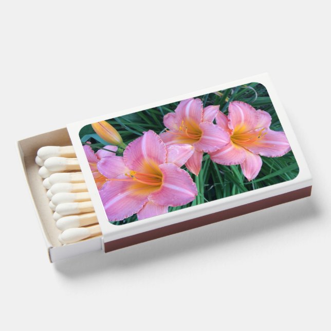 match box (Front Open)