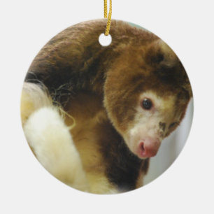 Matchies Tree Kangaroo Ornament