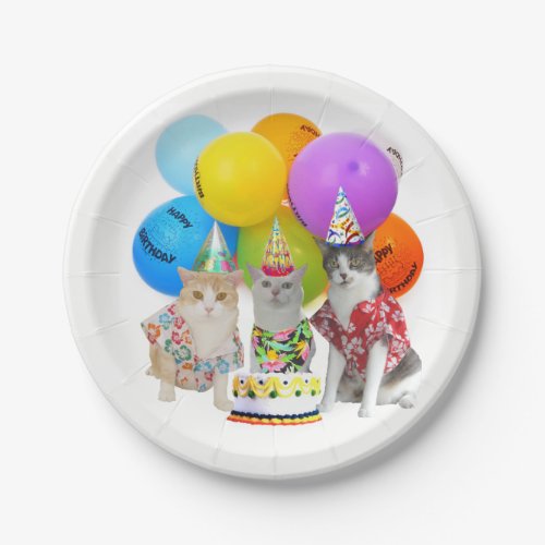 Matching Plates for Funny Cat Invitations