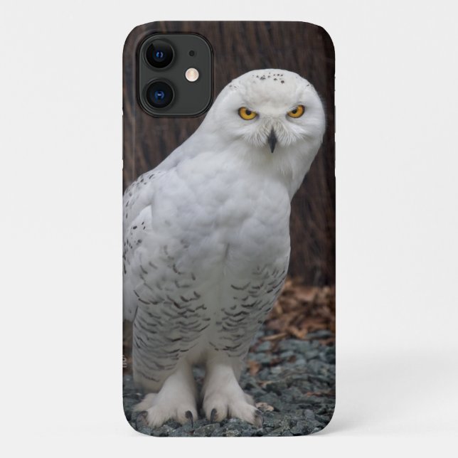 Matching Slippers iPhone 11 Case (Back)