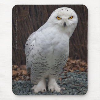 Matching Slippers Mousemat Mouse Pad