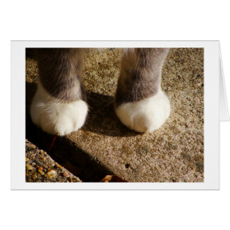 Matching Socks Cards