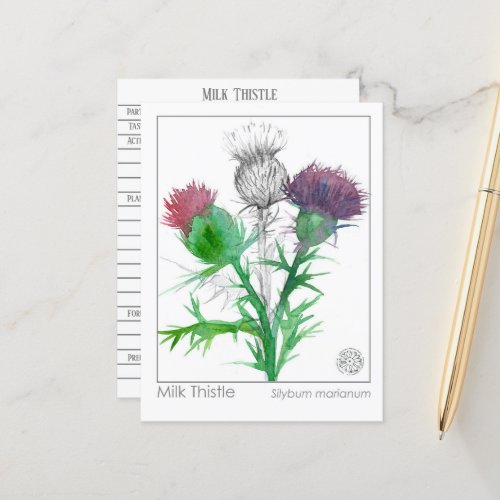 Materia Medica Milk Thistle Herbal Study Card