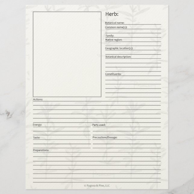 Materia Medica Plant Herbal Study Page Blank (Front)