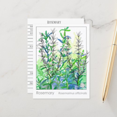 Materia Medica Rosemary Plant Herbal Study Card