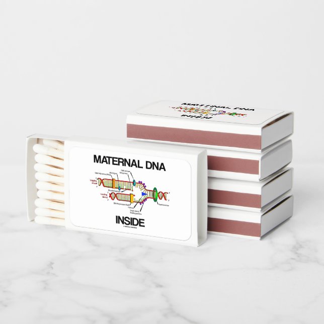 Maternal DNA Inside Genes Humor DNA Replication Matchboxes (Stacked)