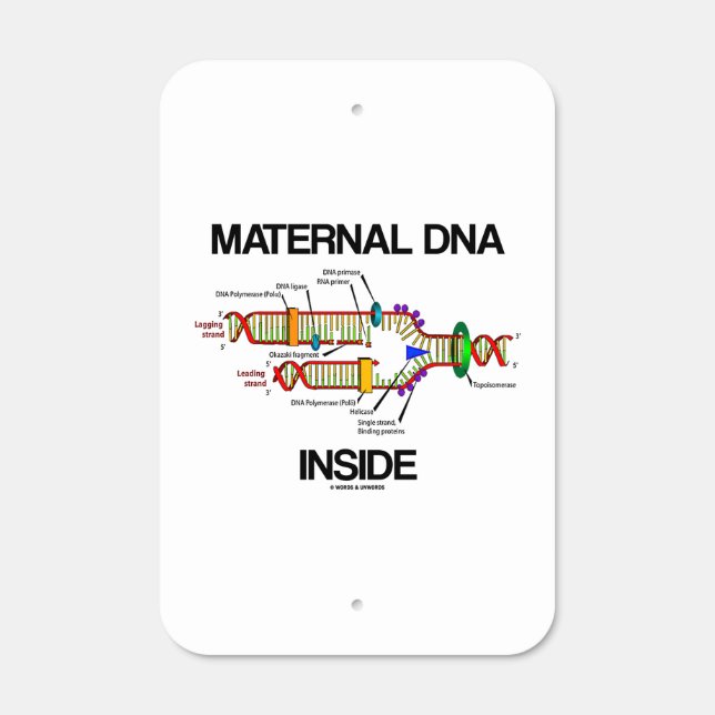 Maternal DNA Inside Genetics DNA Replication Humor Metal Sign (Front)
