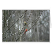 Mates for life (Front Horizontal)