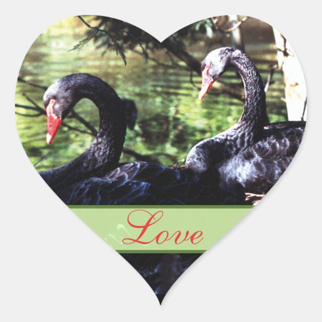 Mates for Life Black Swans Heart Shaped Sticker (Front)