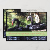 Mates for Life Black Swans Wedding Invitation (Front/Back)