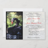 Mates for Life Black Swans Wedding Invitation (Back)