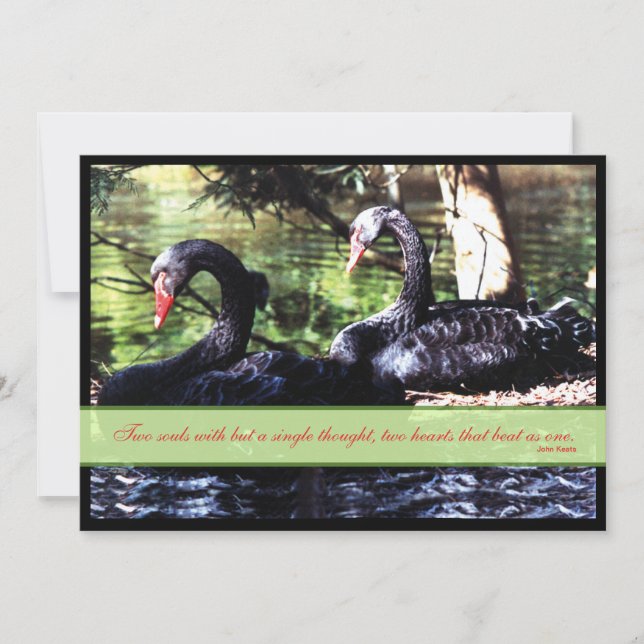 Mates for Life Black Swans Wedding Invitation (Front)